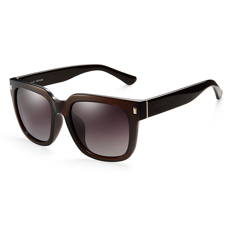 Classic Retro Oversized Sunglasses--1602-03