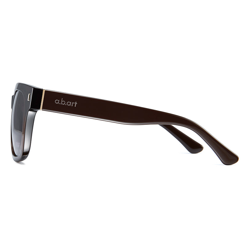 Classic Retro Oversized Sunglasses--1602-03